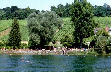 Swimmers on the banks of the Rhine near Schaffhausen